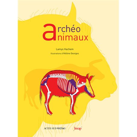 Archéo animaux