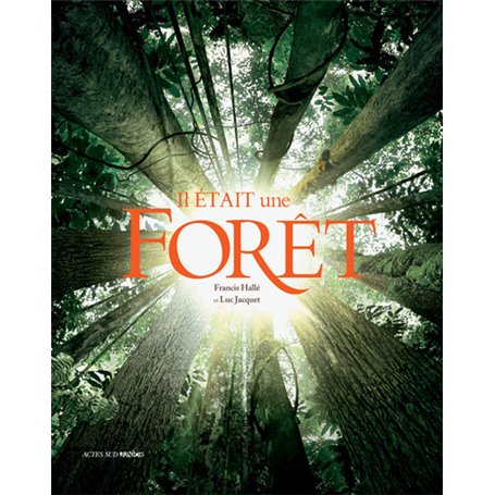 Il était une forêt