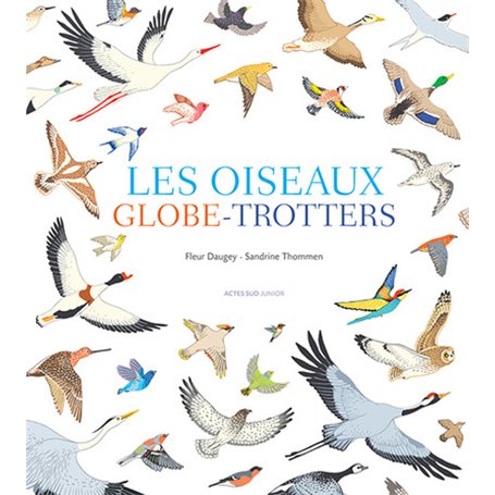 Les oiseaux globe-trotters