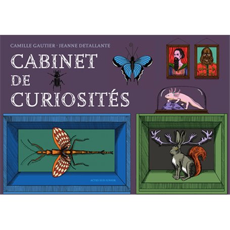 Cabinet de curiosités