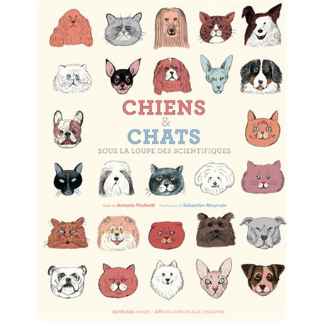 Chiens et chats, sous la loupe des scientifiques