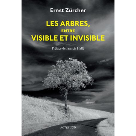 Les Arbres, entre visible et invisible