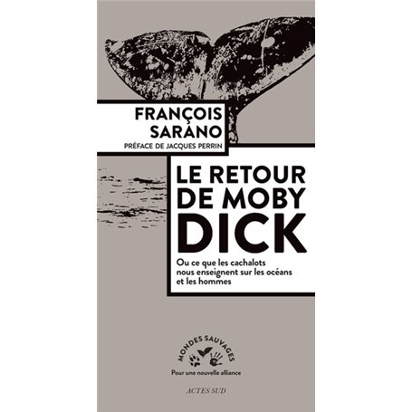 Le retour de Moby Dick