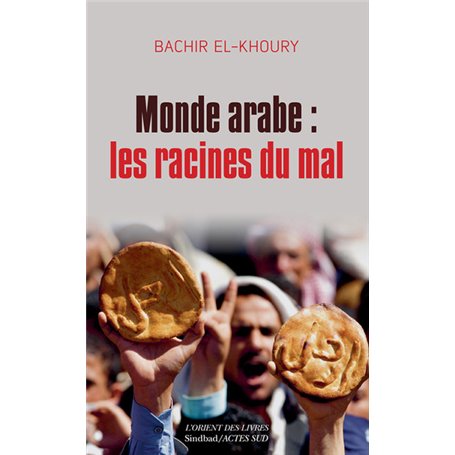 Monde arabe : les racines du mal