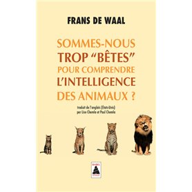 Sommes-nous trop "bêtes" pour comprendre l'intelligence des animaux ?