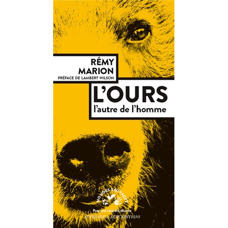 L'ours