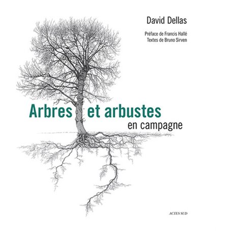 Arbres et arbustes en campagne