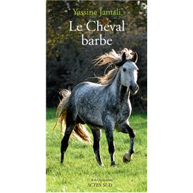 Le Cheval Barbe