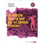 Je marche dans la nuit par un chemin mauvais