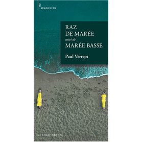 Raz de marée suivi de Marée basse