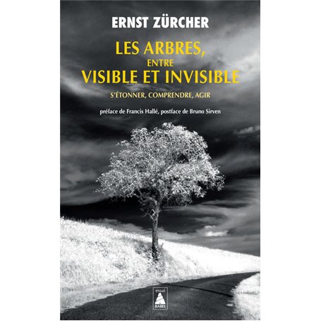 Les Arbres, entre visible et invisible