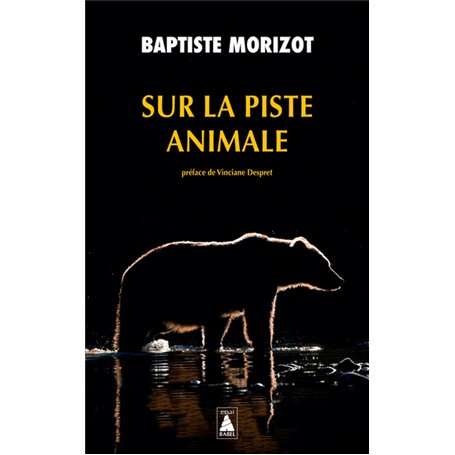 Sur la piste animale