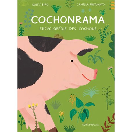 Cochonrama