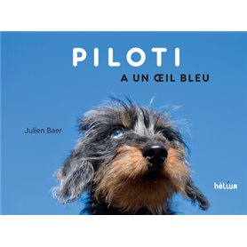 Piloti a un oeil bleu