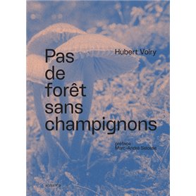 Pas de forêt sans champignons