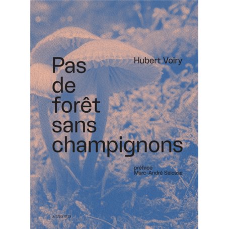 Pas de forêt sans champignons