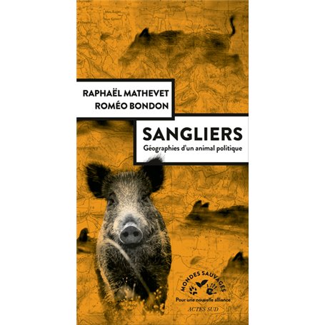 Sangliers, géographies d'un animal politique