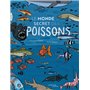 Le monde secret des poissons