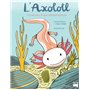 L'axolotl, les secrets d'une métamorphose