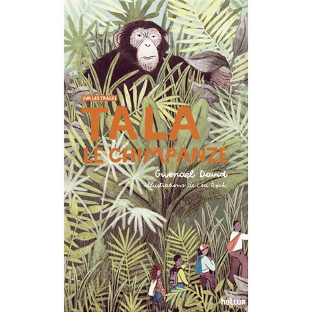 Tala, le chimpanzé