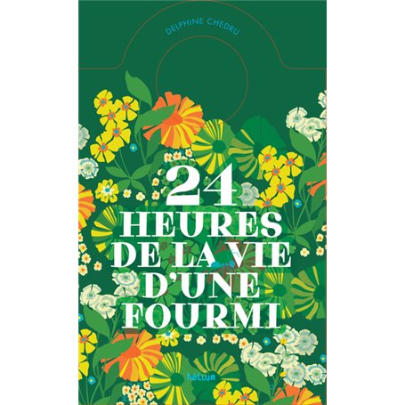 24 heures de la vie d'une fourmi