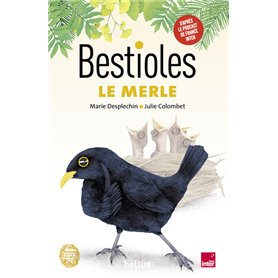 Bestioles - Le Merle