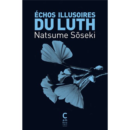 Échos illusoires du luth