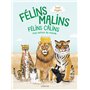 Félins malins, félins câlins