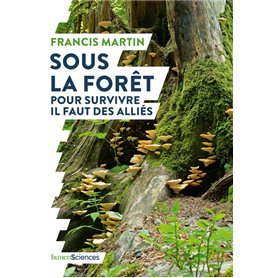 Sous la forêt