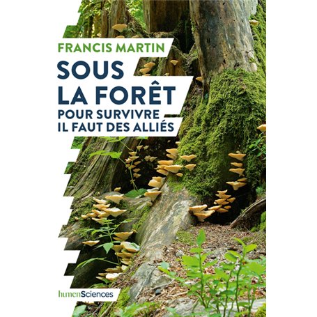 Sous la forêt