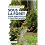 Sous la forêt