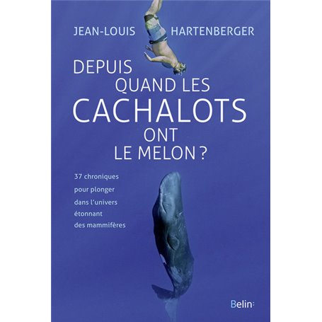 Depuis quand les cachalots ont le melon ?