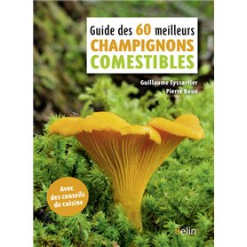 Guide des 60 meilleurs champignons comestibles