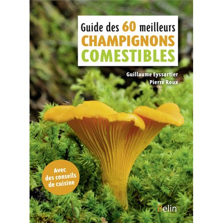 Guide des 60 meilleurs champignons comestibles