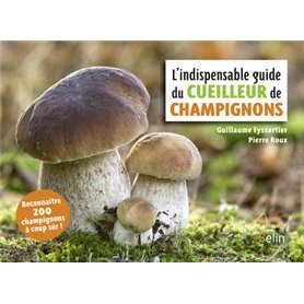 L'indispensable guide du cueilleur de champignons