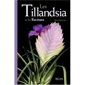 Les Tillandsia et les Racinaea