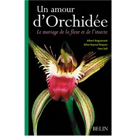 Un amour d'Orchidée