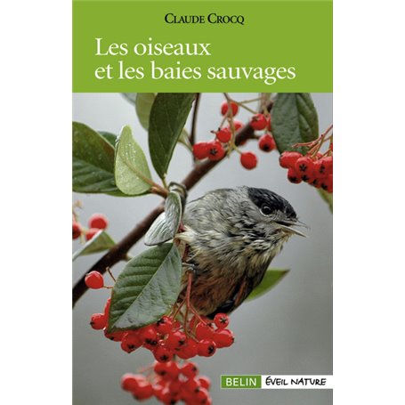 Les oiseaux et les baies sauvages