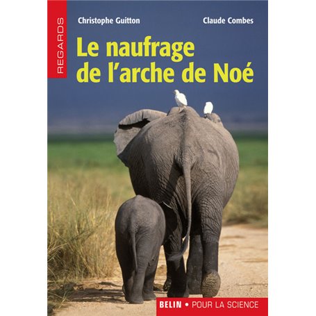 Le naufrage de l'arche de Noé