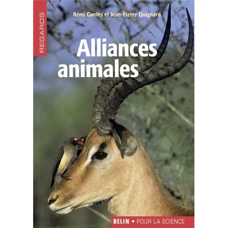 Alliances animales