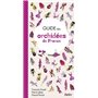 Guide des orchidées de France