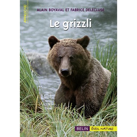 Le grizzli