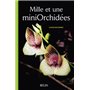 Mille et une mini Orchidées