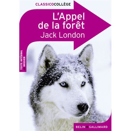 L'Appel de la forêt