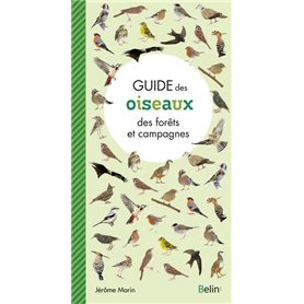 Guide des oiseaux des forêts et campagnes