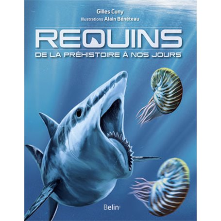 REQUINS