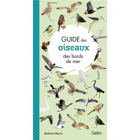 Guide des oiseaux des bords de mer