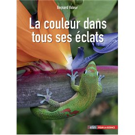 La couleur dans tous ses éclats