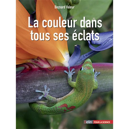 La couleur dans tous ses éclats