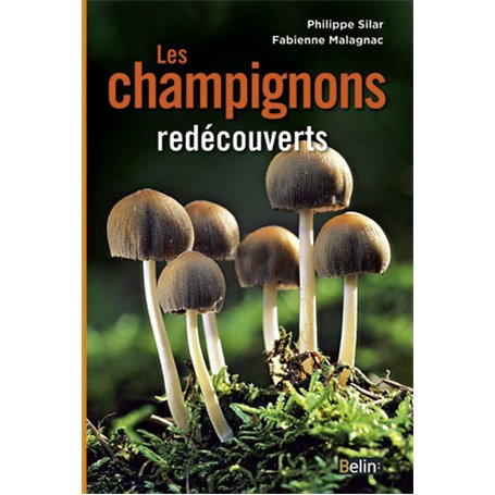 Les champignons redécouverts